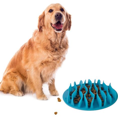 Gamelle portable et lente pour chien, gamelle interactive anti-ballonnements et anti-étouffement, saine
