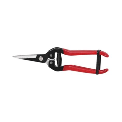Forbici Coglifrutta e Ortaggi Ideal Star 19 cm (1/4)