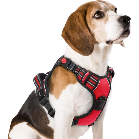 Harnais pour chien réglable avec poignée de contrôle et anneaux anti-traction, gilet respirant et réfléchissant pour promenades sécurisées