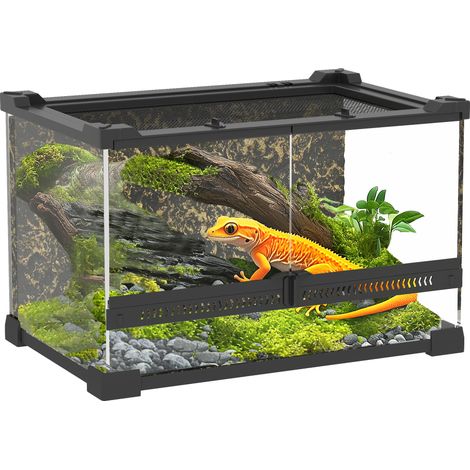 Reptile Glass Terrarium with Stone Background, Front Ventilation, Escape-Proof Knob Lock, 30 x 20 x 20 cm, Black (1/5)