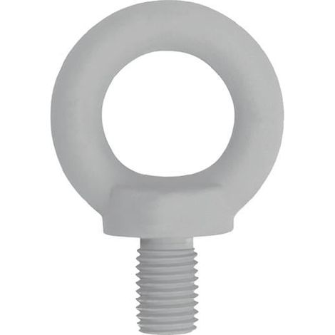 Kleinsorge Ringschraube DIN 580 Gewinde M16 66000161 (1/3)