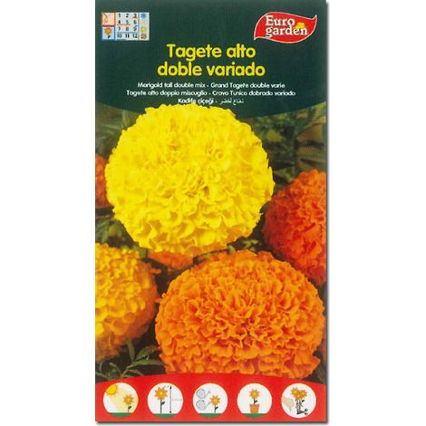 Fito semillas flores tagete alto variado clavel