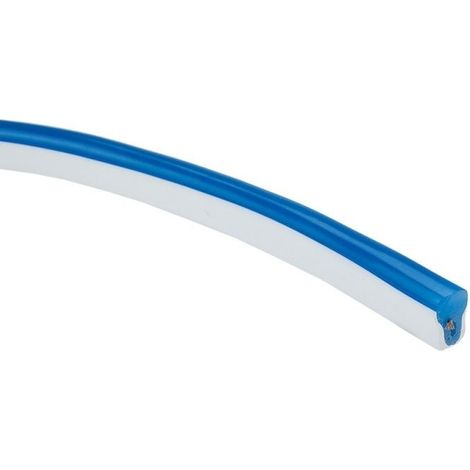 Néon Flexible LED 220V 2835 120LED/m BLEU (vendu sur mesure au m