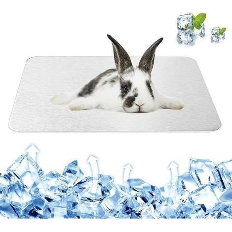 Kühlmatte für Kaninchen – Kühlmatte für Kaninchen – Für Kleintiere – Aluminium – Wiederverwendbar (1/4)