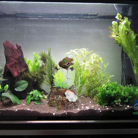 Décoration d'aquarium en plastique : bébé dinosaure dans un œuf, accessoires d'aménagement paysager (1/4)