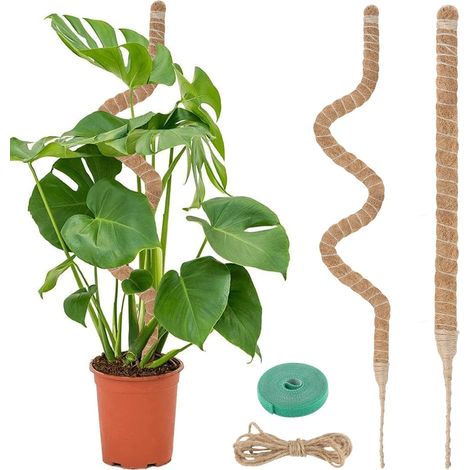 Tuteur Plante, 120CM Support Plante Grimpante Tuteur Coco avec Twist 2 Meter pour Soutenir Les Plantes, pour Plante Jardin Domestique (1/5)