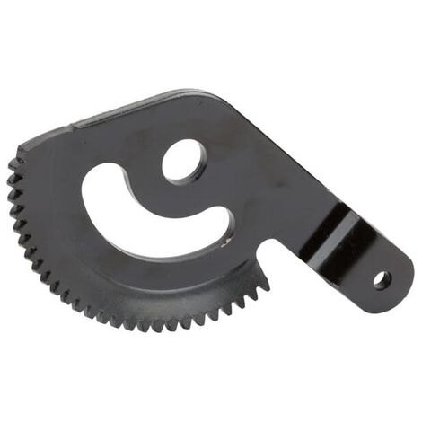 Ingranaggio 1751110YP BRIGGS ET STRATTON 1751110YP