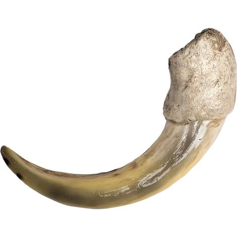 Un ornamento in resina unico che si abbina a vari stili di...