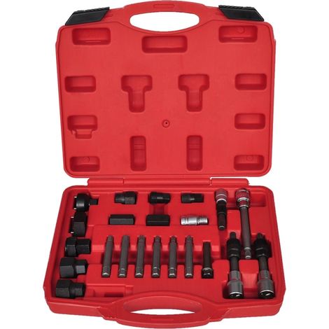 Set per Rimozione Ruota Libera Alternatore 22 pz vidaXL