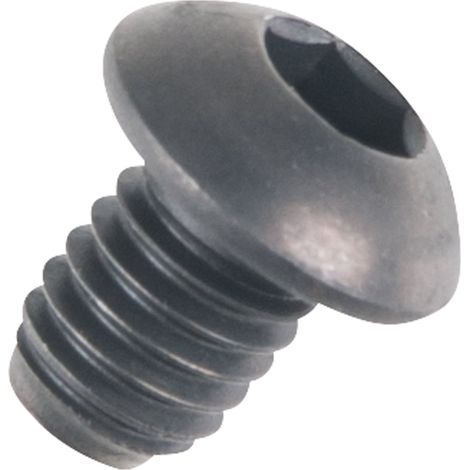 KS TOOLS Schraube M6 - 160.0090-R010P