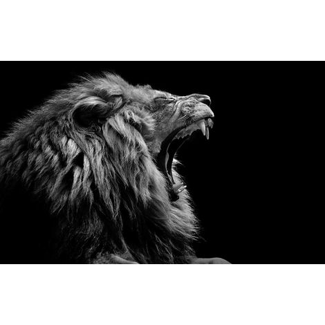 Tableau Baillement de lion - 80x50cm - made in France (1/5)