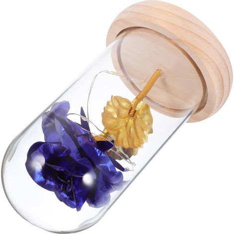 Lampe LED Fleur Préservée Bleue sous Dôme de Verre, Décoration Immortelle Intérieure sans Piles, Ornement de Fleurs Stabilisées pour Maison et Bureau, Éclairage Ambiance (1/5)