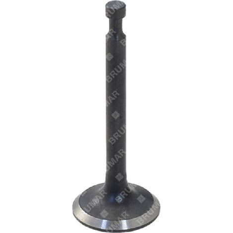 Válvula de drenaje para aireadores HARRY - 058594