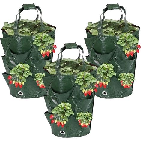 Sacs de Culture pour fraisiers - 3 pièces, Sacs suspendables pour fraisiers,Pots de 11 L pour tomates sur Balcon - pour jardiniers Amateurs Balcon terrasse Jardin intérieur (1/5)