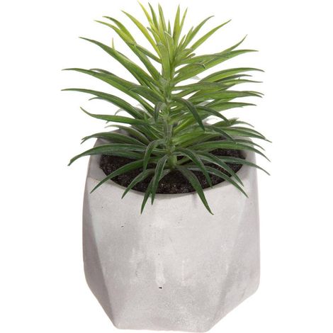 Künstliche Fettpflanze Zementtopf H14cm - Model 2