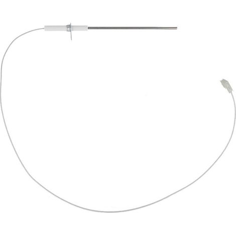 Electrode d'ionisation