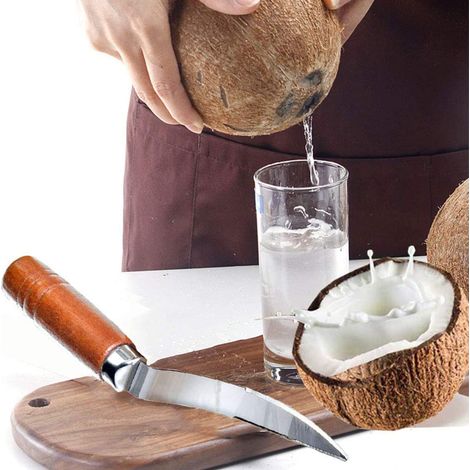 Râpe à noix de coco en acier inoxydable avec manche en bois durable, ouvre-noix de coco pour cuisine et maison, outil à gratter noix de coco. (1/5)