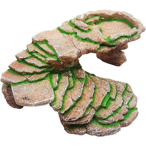Grotte-repaire pour reptiles, idéale pour décorer un habitat humide. (1/5)