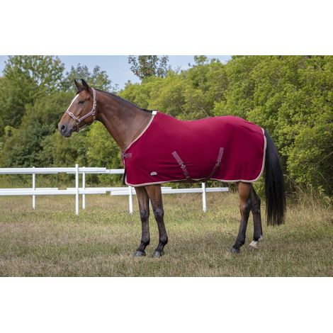 Licol polyfun bordeaux EQUITHEME pour cheval