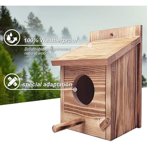 Mangeoire à Oiseaux Transparent Station d'alimentation Automatique pour Oiseaux Suspendue 16 x 10 x 9,5 cm Grande Capacité Stocker Nourriture Pendant 15 Jours. (1/4)