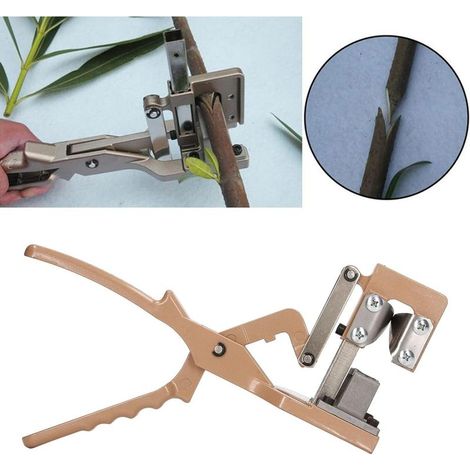 Coupeur de greffage, ciseaux de greffage antidérapants coupe en forme de V gris multifonctionnel pour jardin (1/5)