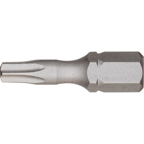 Punta a vite 1/4 DIN3126 C6.3 T20x 25mm Torsion FORUM