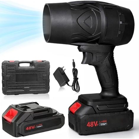 Soffiatore per Foglie Asciugatore per Auto Alta Velocità 2 Batterie e Valigetta