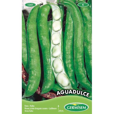 Graines de Fèves 100 g (1/2)
