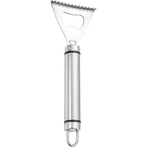 Nettoyeur, écailleur et détartrant à poisson en acier inoxydable (outil double usage pour la cuisine)