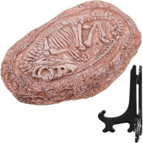 Décoration Paléontologique de Trilobite en Résine, Spécimen Fossile D’Imitation, Léger et Petit, pour Terrarium de Reptile ou Décoration de Table (1/5)