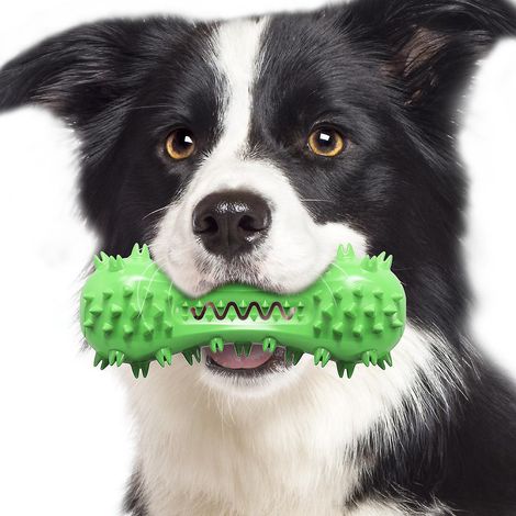 Brosse à dents pour chien, jouet à mâcher pour chien, baguette de nettoyage des dents en caoutchouc résistant aux morsures pour chiens de petite et moyenne taille (vert) (1/5)