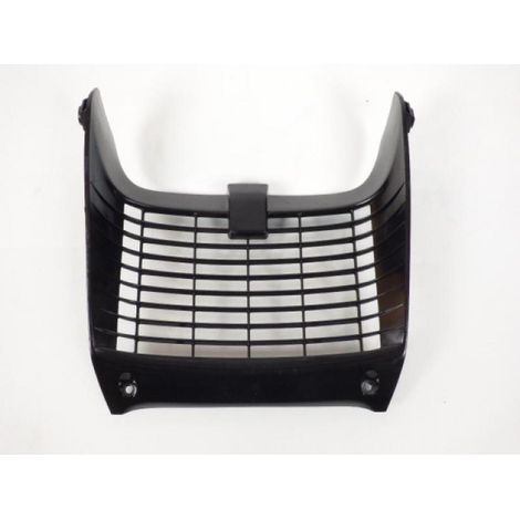 [PRODUIT D'OCCASION] Protection de radiateur origine pour moto Yamaha 125 TDR 2001 (1/2)