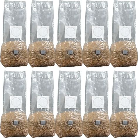 (10 pièces) 10 sacs de culture de champignons à haut rendement en PP stérilisé, hydratés, avec filtre pour substrat et mycélium.