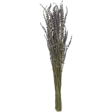 Bouquet de Fleurs Séchées "Lavande" 73cm Mauve (1/4)