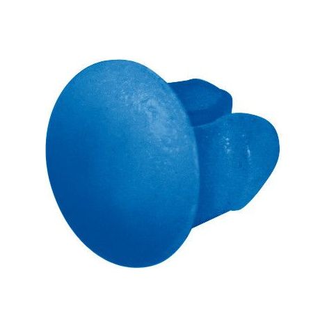 Set 100 bottoncini targa - Azzurro