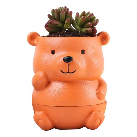 Nouveau pot de fleurs d'intérieur pour plantes succulentes au design nordique 2026 (1/5)