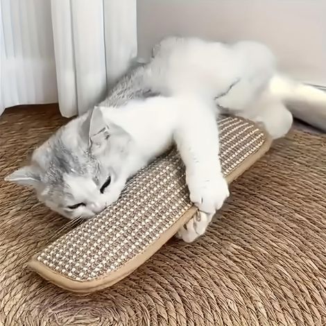 2-in-1 cat toy with scratching pad, interactive catnip toy for solo play, soft scratching mat to relieve stress and boredom (1/4)