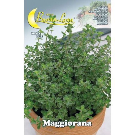 Semi orto maggiorana - 10 pz