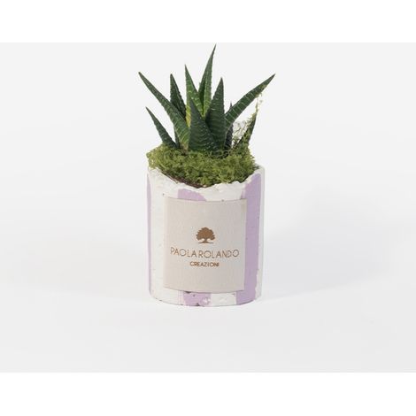 Pianta grassa in vaso cementino decorativo Millerighe - Lilla