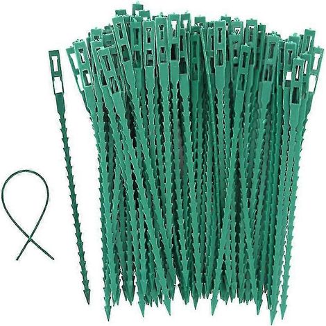 100 supports pour tuteurs à tomates, arbres et attaches de câbles - Attaches en plastique réutilisables pour le jardinage (1/5)