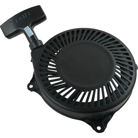 Ersatzstarter für Briggs Stratton 497830 496650 495766 494782 494846 135702