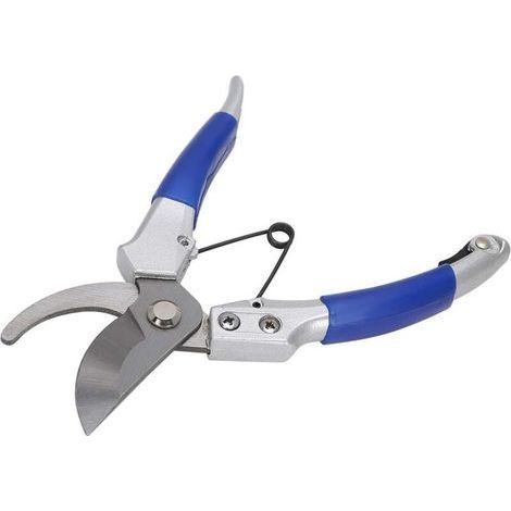 Forged Professional Scissors, Garden Pruning Shears, Straight Blade Shears in Steel and Titanium, Bypass Cut, Ergonomic Handles, for Flower Gardens, Bonsai (1/4)