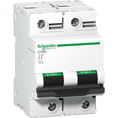 Disjoncteur C120H 2 Pôles 125 A courbe C 15 kA SCHNEIDER A9N18459 (1/2)