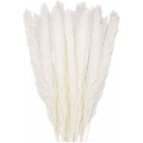 BUNTHAUS 30 pcs Herbe de la Pampa, 45 cm Naturel Pampa Fleur Bouquet de Fleurs Sechees pour Vases, Blanc Boho Decoration Chambre Maison Salon, Mariage Photographier Table Décoration (1/4)