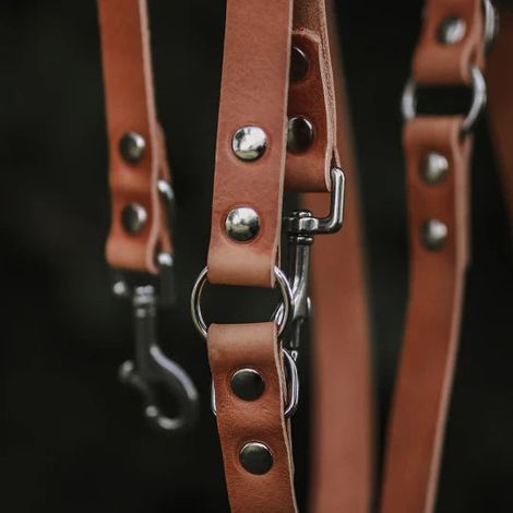 Laisse réglable pour chien en cuir pleine fleur tanné végétal 220 cm coloris fauve - PANGIVO