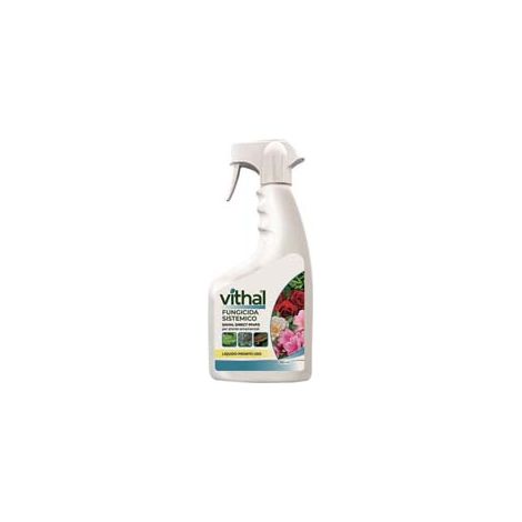 Fungicida Sistemico Liquido Pronto All'Uso 750 ml Vithal 2 Pezzi