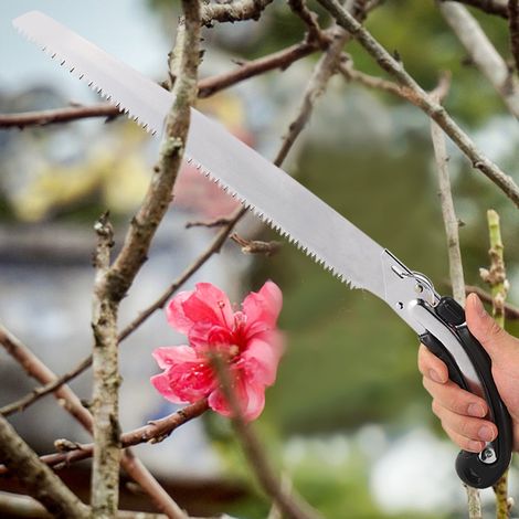 Scie de jardin à lame courbe pour branches épaisses, avec étui, pour l'abattage et l'élagage des arbres fruitiers, facilitant ainsi le travail. (1/5)