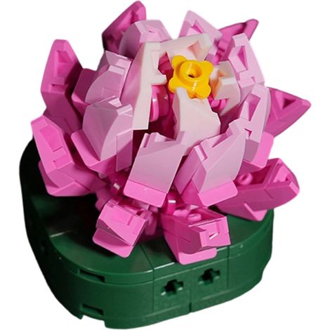 Plateau de succulentes en blocs de construction, plantes en pot, bouquet cadeau pour filles, fleurs assemblées, fleurs artificielles (1/5)