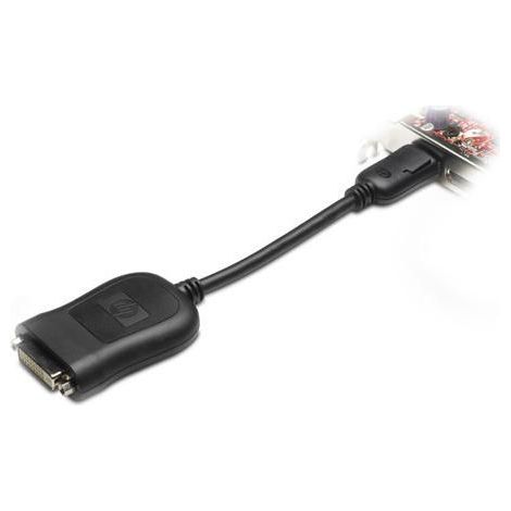 Adaptateur HP DisplayPort (DP) vers DVI-D, DisplayPort vers DVI, 484156-001