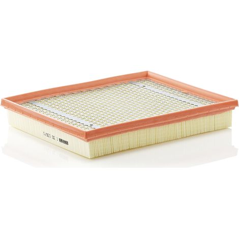Filtre à air Mann Filter C30130/1